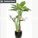 Artificial Decorative Banana Tree Ficus Tree Branch Live Bonsai Tree for Home and Office Decoration thumbnail-3