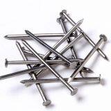 Common Round Nail thumbnail-2