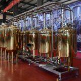 300L/ 2BBL Titanium Plating Stainless Steel Beer Fermentation Tank Beer Fermenter thumbnail-2