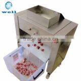 Meat Cube Cutting Machine Price