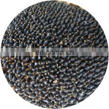 Freshly Fried Melon Seeds Five Spice Original Flavor New Bulk Sunflower Seeds