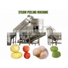 5T per Hour Industrial Automatic Steam Potato Carrot Tomato Peeling Machine thumbnail-2