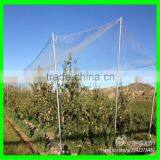 Yemen Selvage Anti Hail Net /100% Virgin HDPE Knitted Anti Hail Net thumbnail-4