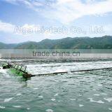 Bottle Packed Organic Spirulina Tablet Tea Sample Free thumbnail-2