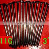 African Market Many Customer 3"common Nails thumbnail-6