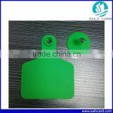 Middle Size Green Color Ear Tag for Cattle Horse Camel Use
