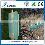 Plastic Corflute Tree Guards Supplier in China