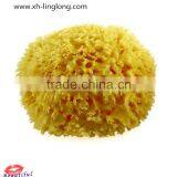 Natural Magic Sponge
