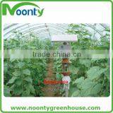 Greenhouse Pest Control thumbnail-4