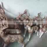 Deer Shooting Target With Antlers thumbnail-4