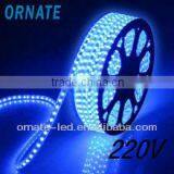 IP67 5050 220v Led Strip Outdoor Rgb Led Flex Strip