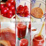 Commercial Use Fruit Pulper For Sale thumbnail-1