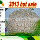 Canned White Kidney Beans