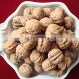 Chinese walnut all sizes