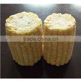 Supply Frozen Sweet Corn Cob Cut Cob