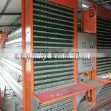 TAIYU Layer Cage with Egg Collecting System