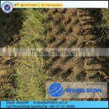 Whirlston Harvesting in Indonesia High Quality Low Price of Middle Rice Paddy Harvester thumbnail-6