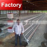 Poultry cage for egg laying chicken, broiler and pullet