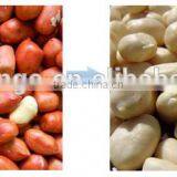 Roasted Peanut Peeling Machhine
