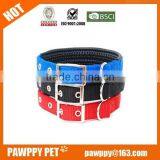 Hot Sale Nylon Dog Collars