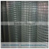 1/4 inch galvanized welded wire mesh for exportation