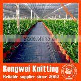 Black and Green Ground Cover thumbnail-4