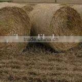 New Style High Working Efficiency Tractor PTO Use Hay Round Baler Straw Baler Machine Grass Round Baler thumbnail-3