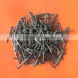 Best price polished wire common nails