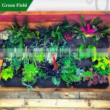 Green Field Hanging Living Wall Planter for Vertical Garden GF-VGP1HX5 thumbnail-1