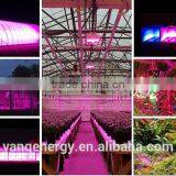 Wifi Controller LED Grow Light 30w For Greenhouse Project New Technolgy Smart LED Lighting thumbnail-1