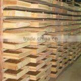 Dried Mealworms for Chicken Feed thumbnail-6