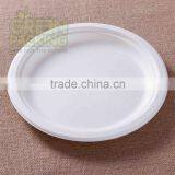 9 Inch Disposable Biodegradable Sugarcane Plates P013 thumbnail-3