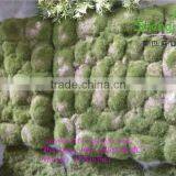 SJLJ01108 High Quality Artificial Moss Mat for Decoration thumbnail-3