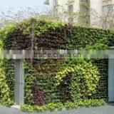 Top Quality Artificial Plant for Decore Artificial Plant Wall Outdoor thumbnail-2