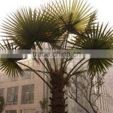 Newest Design Top Quality Artificial Palm Tree Leaves thumbnail-4
