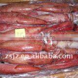 New Catching Frozen Loligo Chinensis Squid