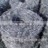 Hot Sale Electrode Galvanized Barbed Wire for Building thumbnail-2