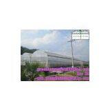 Gutter Connected Greenhouses for Agriculture thumbnail-3