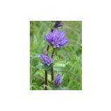 Licorice Extract(sales22 at Lgberry Dot Com Dot Cn)