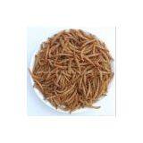 Microwave Dried Mealworms
