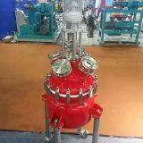 Glass Lined Reactor thumbnail-5