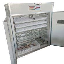 Electricity Baby Mini Reptile Incubators