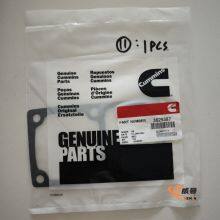 Cummins 3629387 Filter Head Gasket – Precision-Engineered for Tight Filtration Seals thumbnail-1