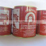 Famous can tomato paste brand,800g tomatoes ketcup hot sell,professional tomato factory