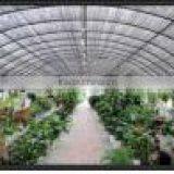 Agriculture Plastic Film 5 Layers PE Greenhouse Film thumbnail-2