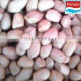 Raw Green Peanuts
