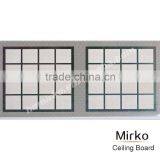 Matt PET Ceiling Panel