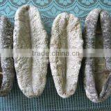 Green Teat Fish thumbnail-1