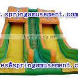 2015 Commercial Personal Tailor Giant Inflatable Water Slide With Dual Lanes, Inflatables SP-SL064