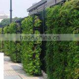 new hot module vertical garden modules indoor and outdoor living wall green wall module